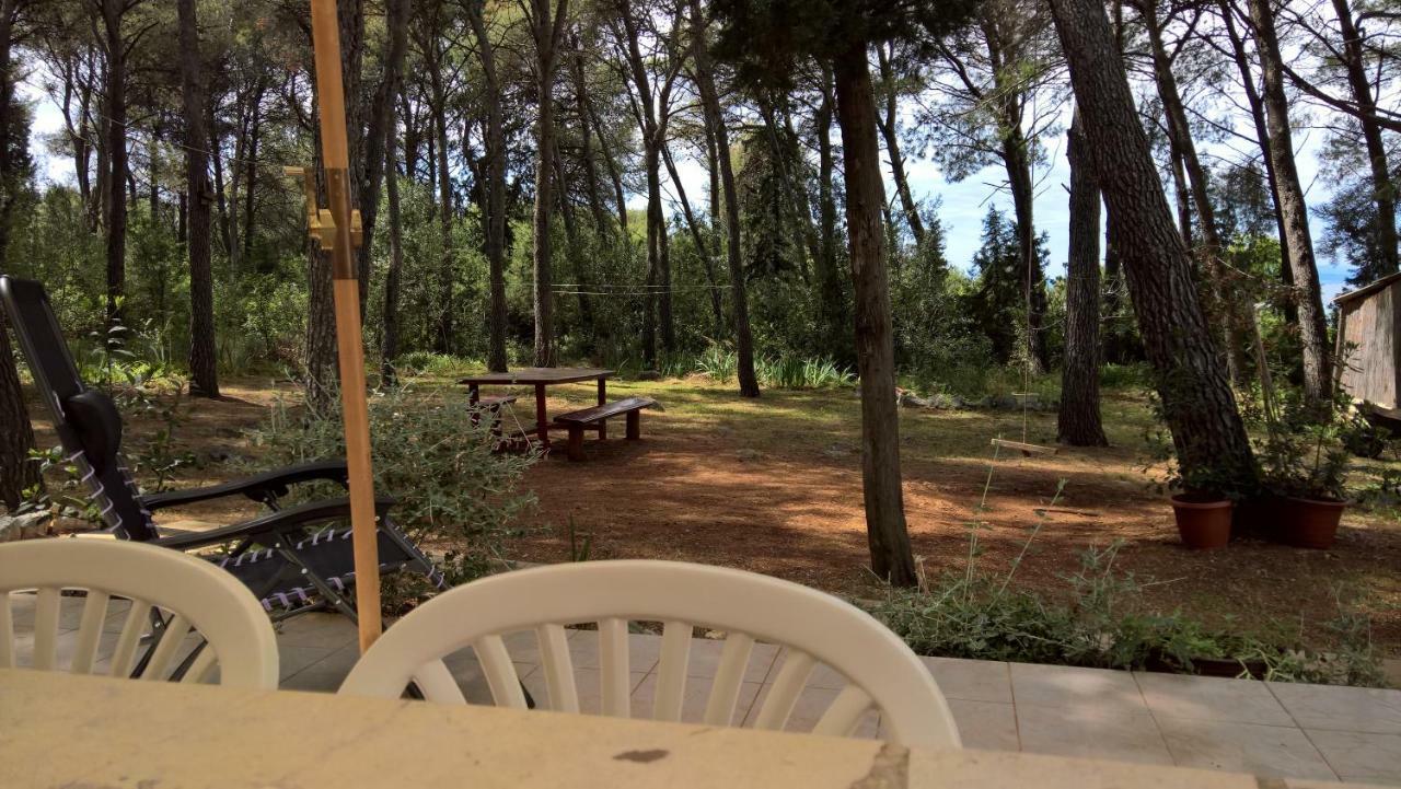 Apartments Vera - Mirca Mirce Εξωτερικό φωτογραφία