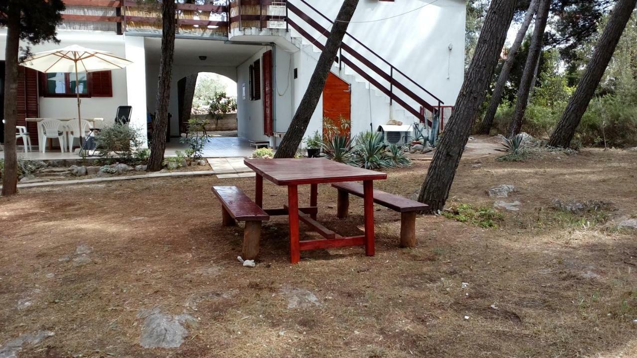 Apartments Vera - Mirca Mirce Εξωτερικό φωτογραφία